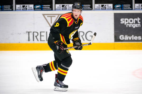 Brynäs Niclas Andersén