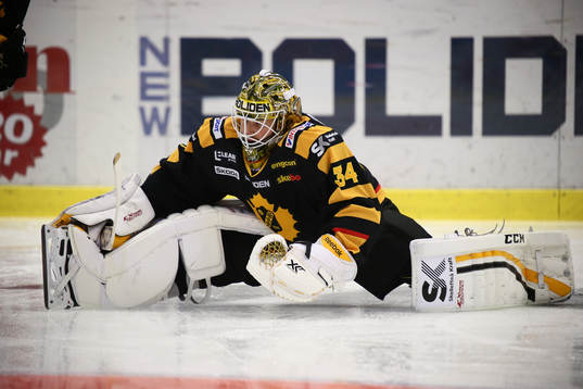 Skellefteås Erik Hanses