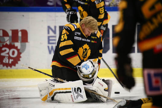 Skellefteås Erik Hanses