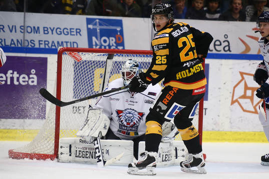 s målvakt David Rautio