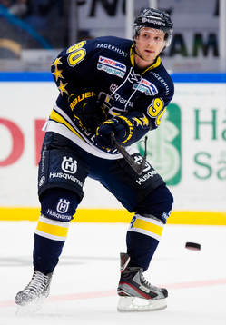 s Ted Brithén