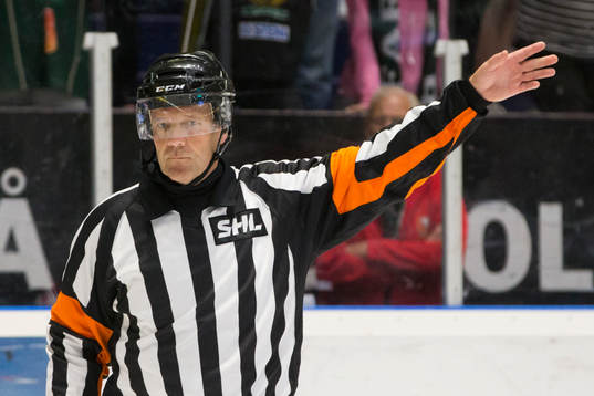 Domare Thomas Andersson