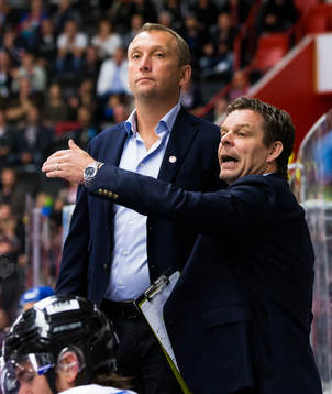 Vita Hästens assisterande tränare Mikael Johansson och