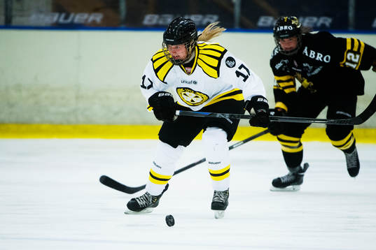Brynäs Anna Södergren