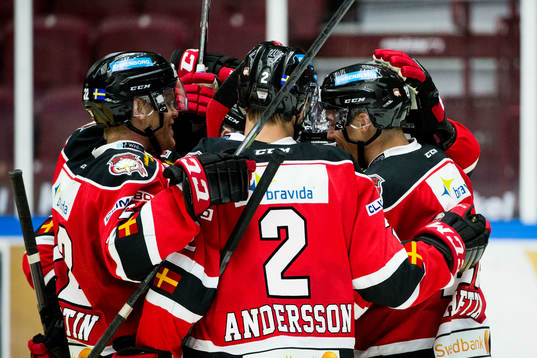 Malmö Redhawks spelare jublar