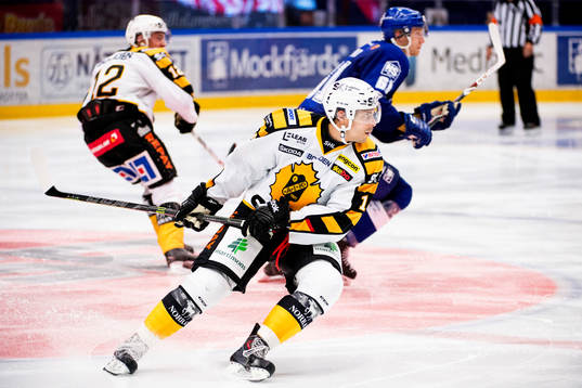 Skellefteås Daniel Widing
