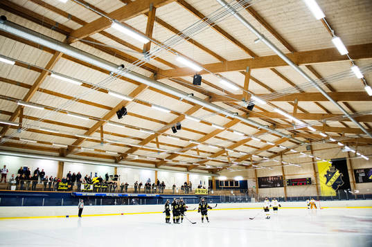 Ulriksdals IP