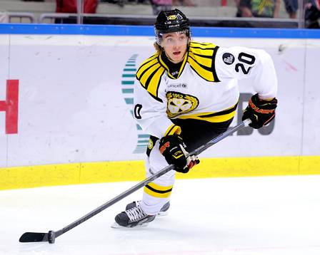 Brynäs Adam Brodecki