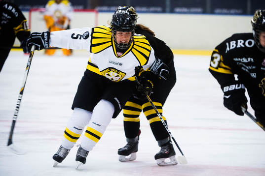Brynäs Maja Ewel