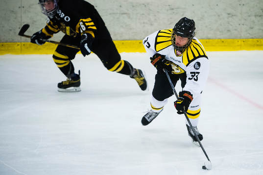 Brynäs Lina Bäcklin