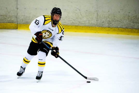 Brynäs Lina Bäcklin