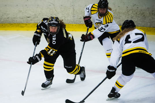 s Lisa Hedengren