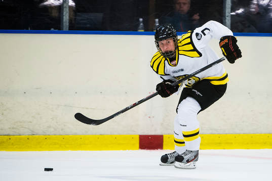 Brynäs Jennifer Törnhult
