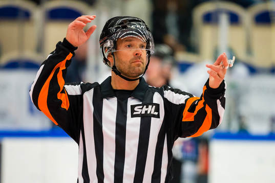 Domare Patrik Sjöberg