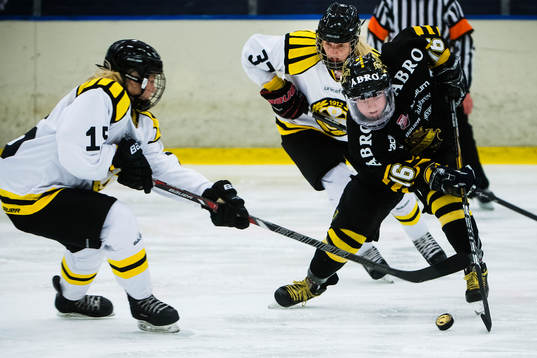 Brynäs Sandra Johansson och Josefine Holmgren