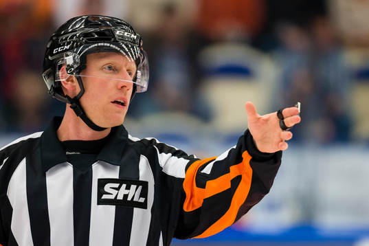 Domare Mikael Holm
