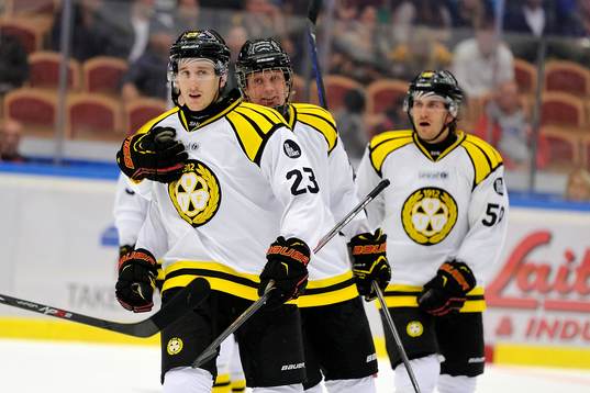 Brynäs Bill Sweatt