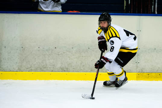 Brynäs Maja Wessling