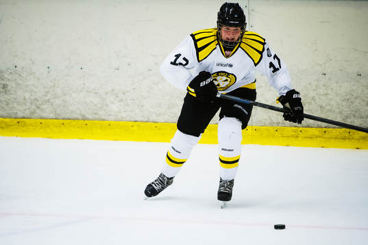 Brynäs Anna Södergren