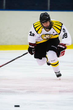 Brynäs Anna Borgqvist