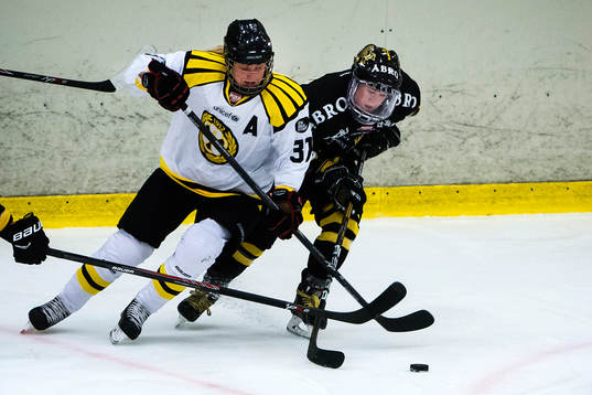 s Lisa Johansson