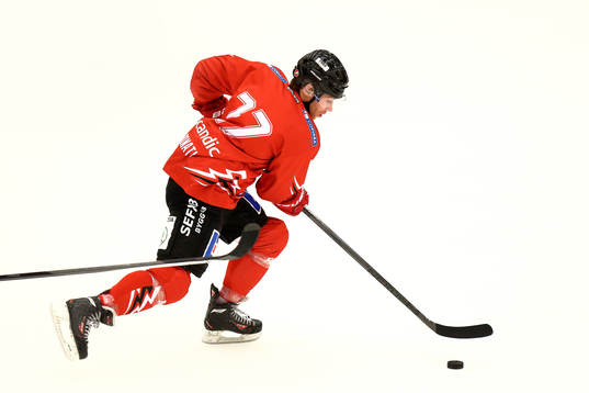 Vita Hästens Justin Donati