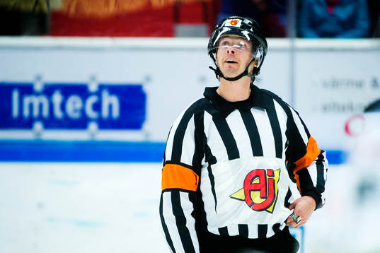 Domare Mikael Andersson