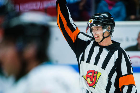 Domare Mikael Andersson