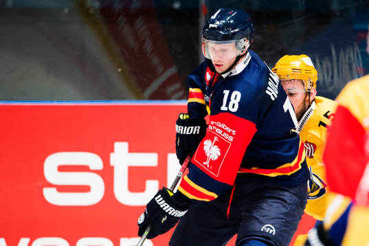 Djurgårdens Michael Holmqvist
