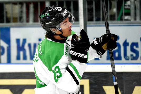 Rögles Daniel Sylwander deppar