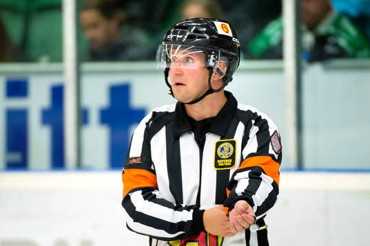Domare Christoffer Karlsson