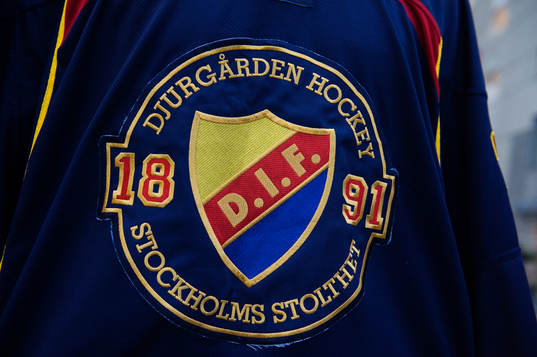 En supporter har en hockeytröja på sig med Djurgårdens