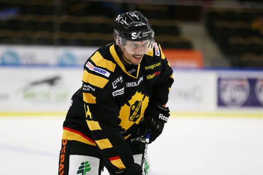 Skellefteås Daniel Widing