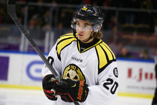 Brynäs Adam Brodecki
