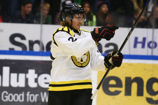 Brynäs Adam Brodecki  jublar