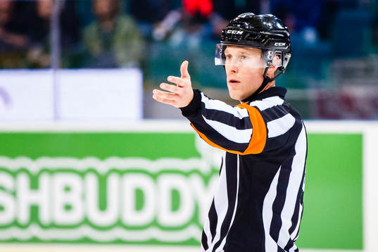 Domare Tobias Björk