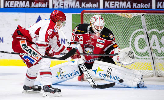 Timrås Daniel Öhrn och Malmö Redhawks målvakt Pontus
