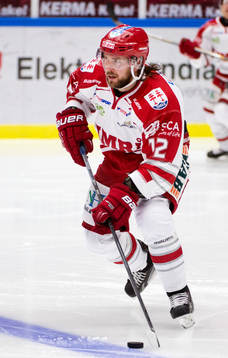 Timrås André Hult
