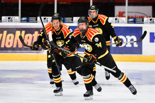 Bläddra bland fler bilder av Ishockey, SHL, Brynäs - Linköping