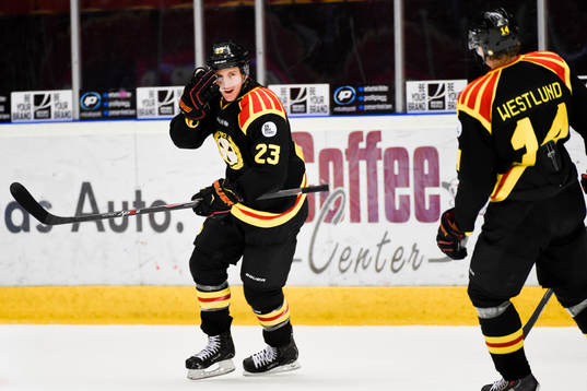 Brynäs Bill Sweatt jublar mot David Westlund