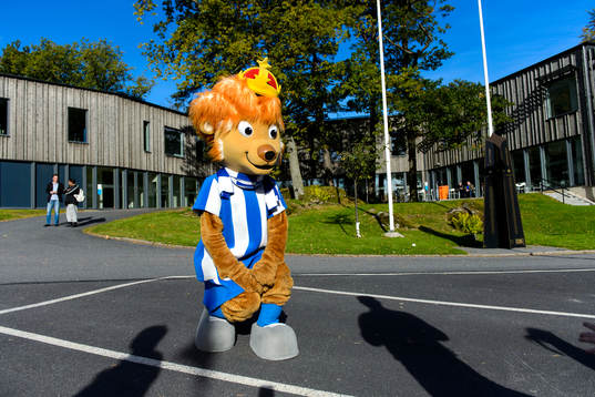 Bläddra bland fler bilder av Fotboll, IFK Göteborg, Kamratgårdens Dag
