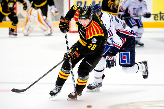 Brynäs Anton Rödin