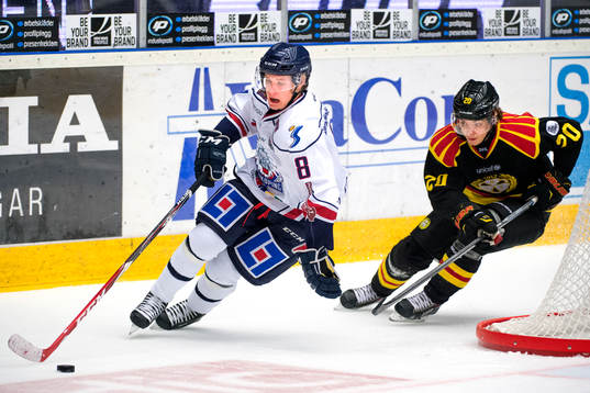 Linköpings Gustav Forsling och Brynäs Adam Brodecki