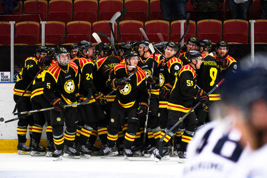Spelarna i Brynäs jublar