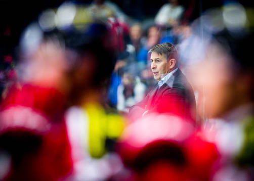 Djurgårdens tränare Hans Särkijärvi