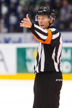 Domare Tobias Björk