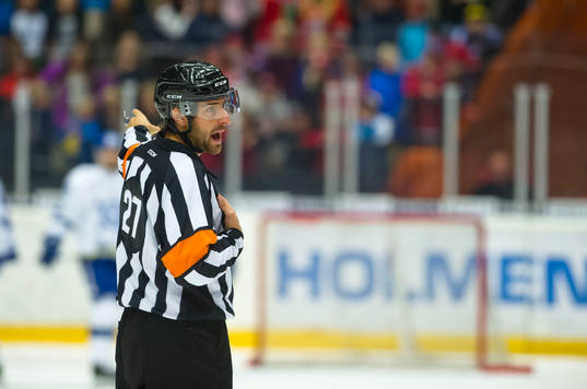 Domare Mikael Sjöqvist