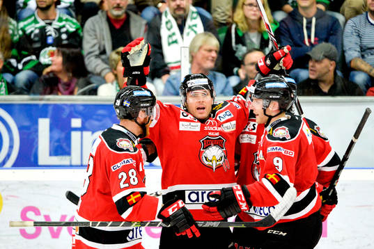 Malmö Redhawks Joey Tenute jublar