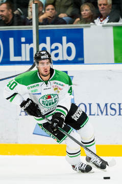 Rögles Alen Bibic