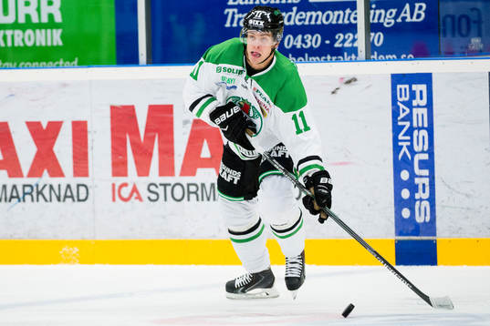 Rögles Robin Sterner